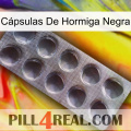 Cápsulas De Hormiga Negra 30